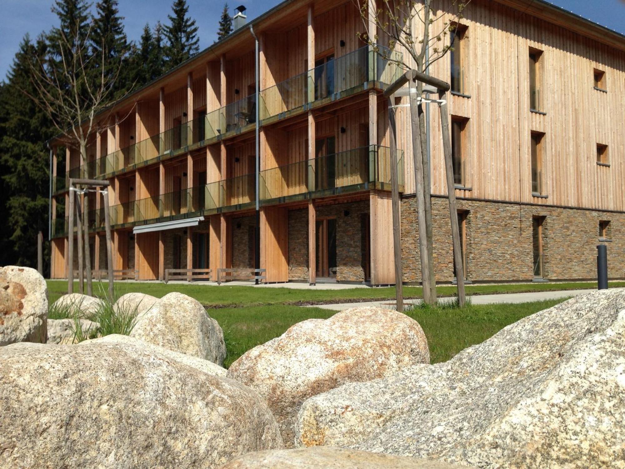 Medvedin 100 Apartment *